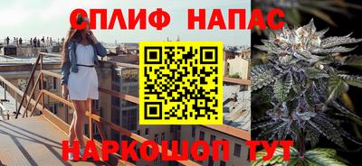 apvp Кунгур