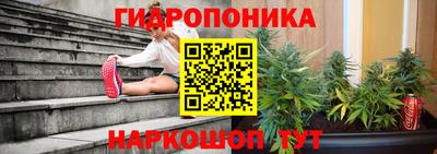 apvp Кунгур