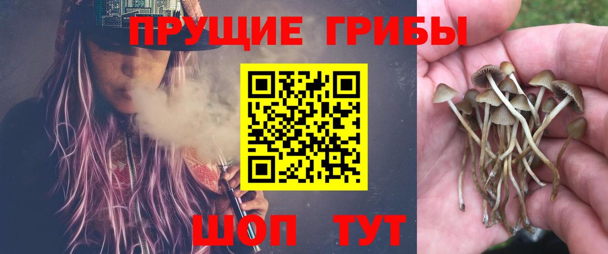 Зеленодольск  Псилоцибиновые грибы мицелий  Вход с VPN  Галлюциногенные грибы мицелий 
